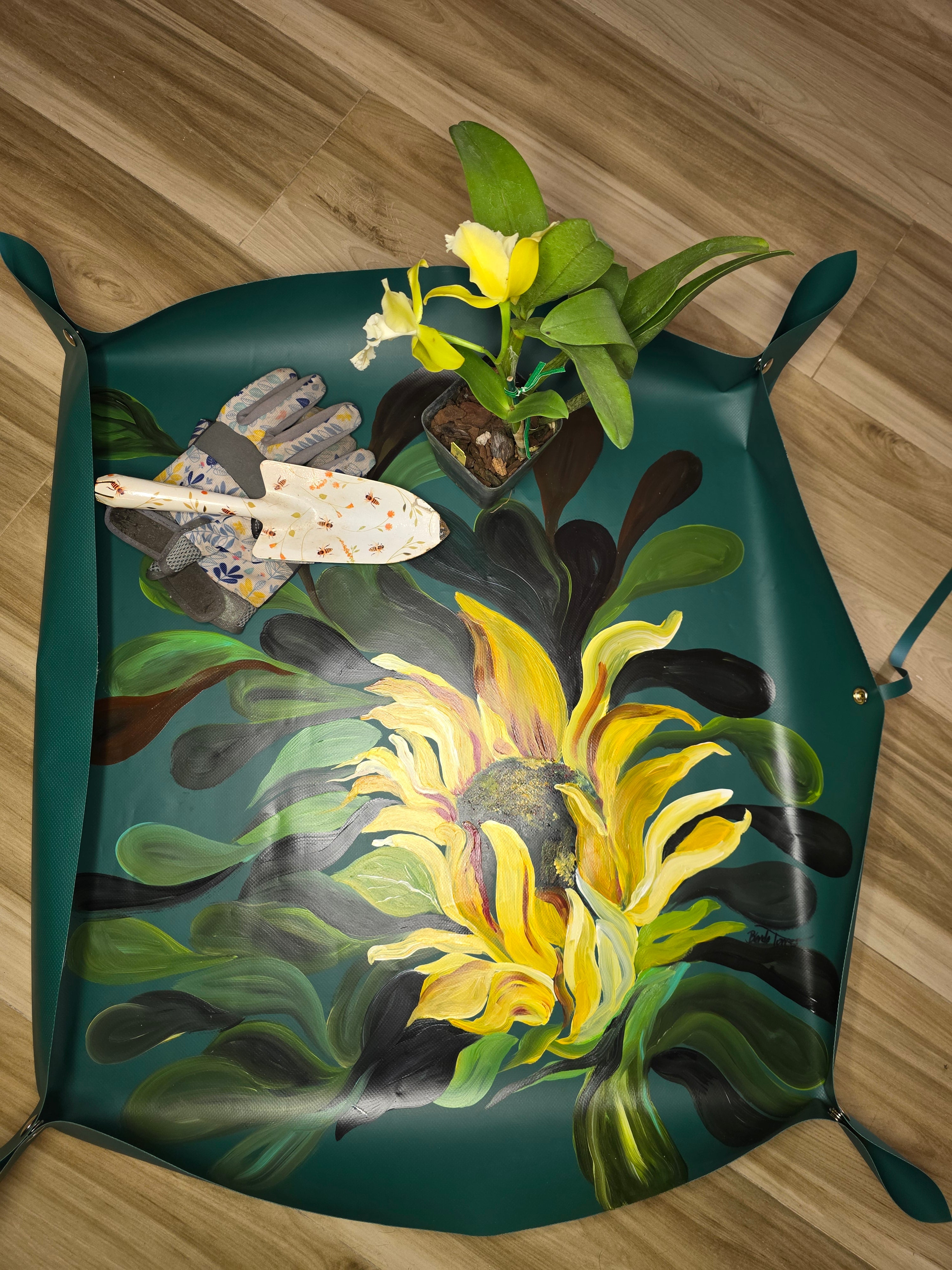 Cambiador para Plantas