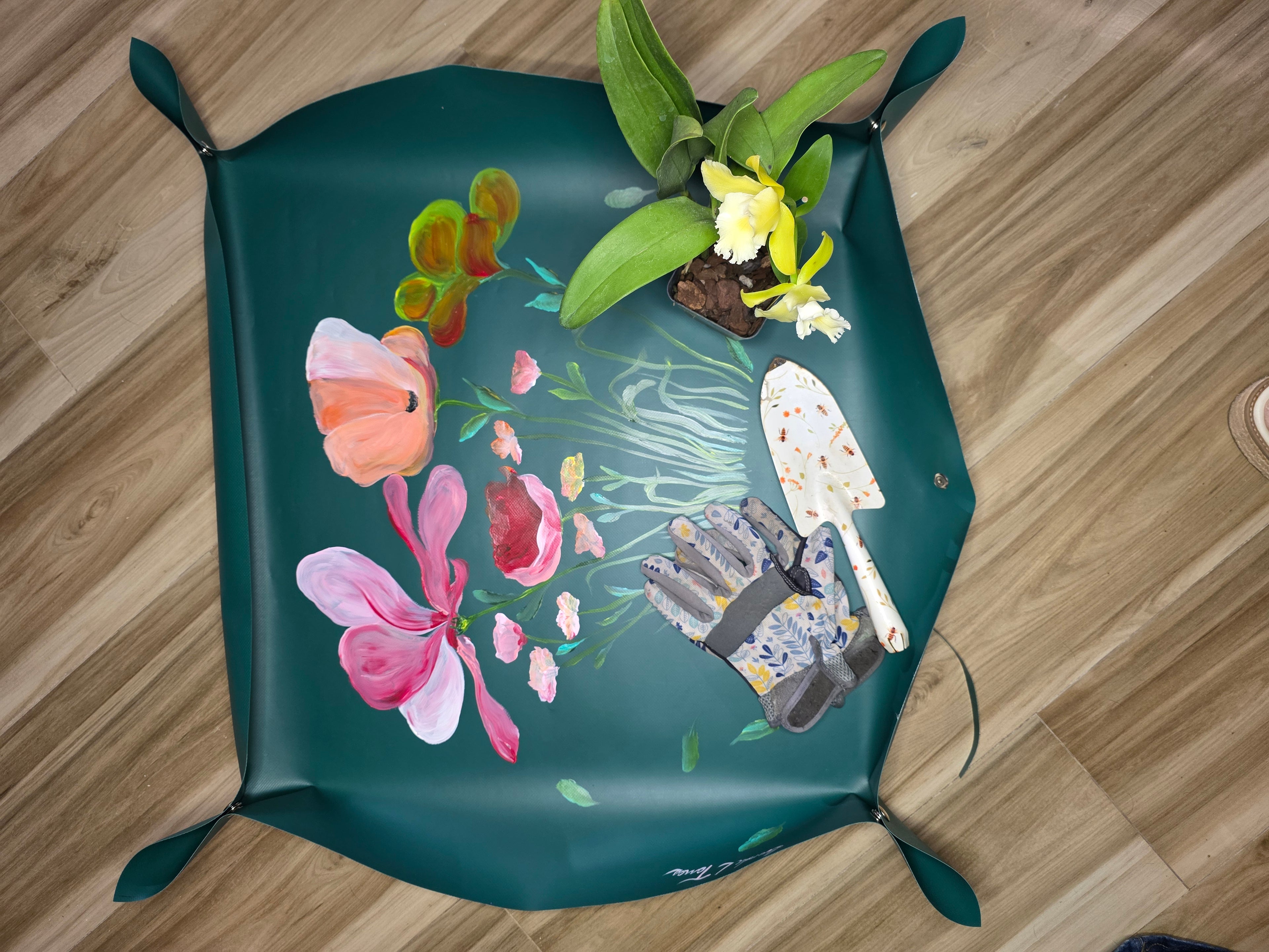 Cambiador para Plantas