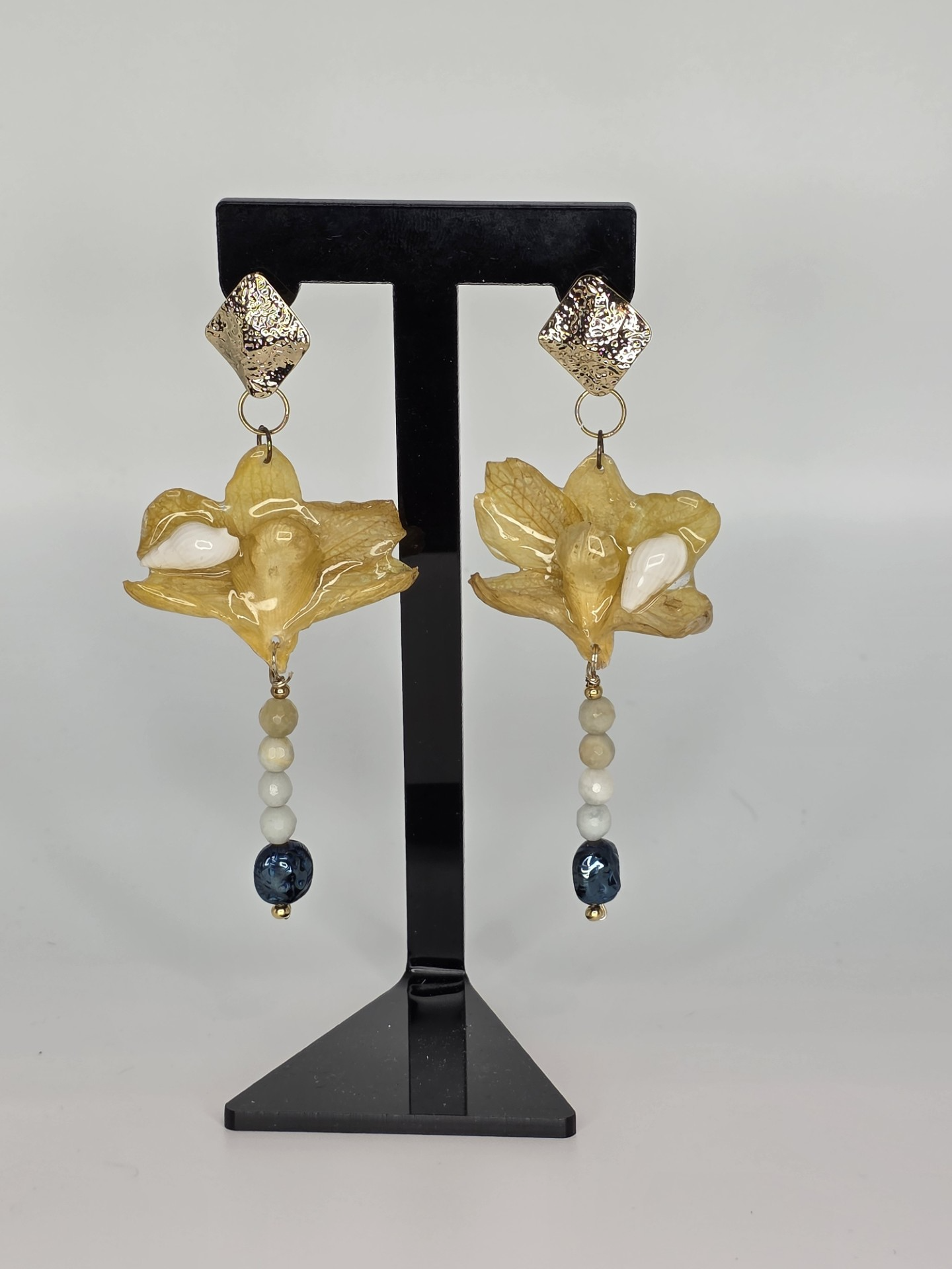 Dendrobium Caracoles y Piedras Preciosas Ágata