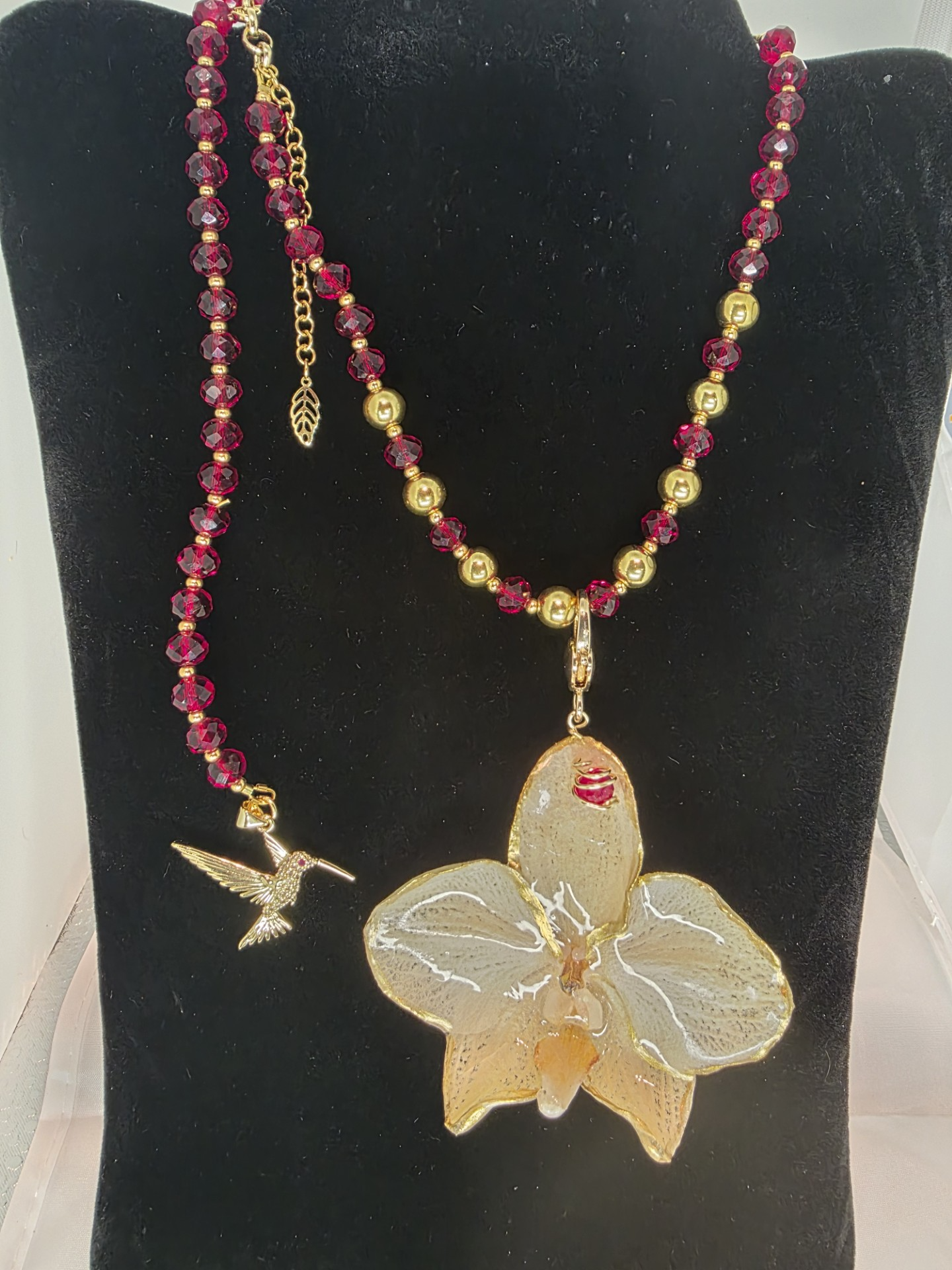 Phalaenopsis Crema Borde Dorado