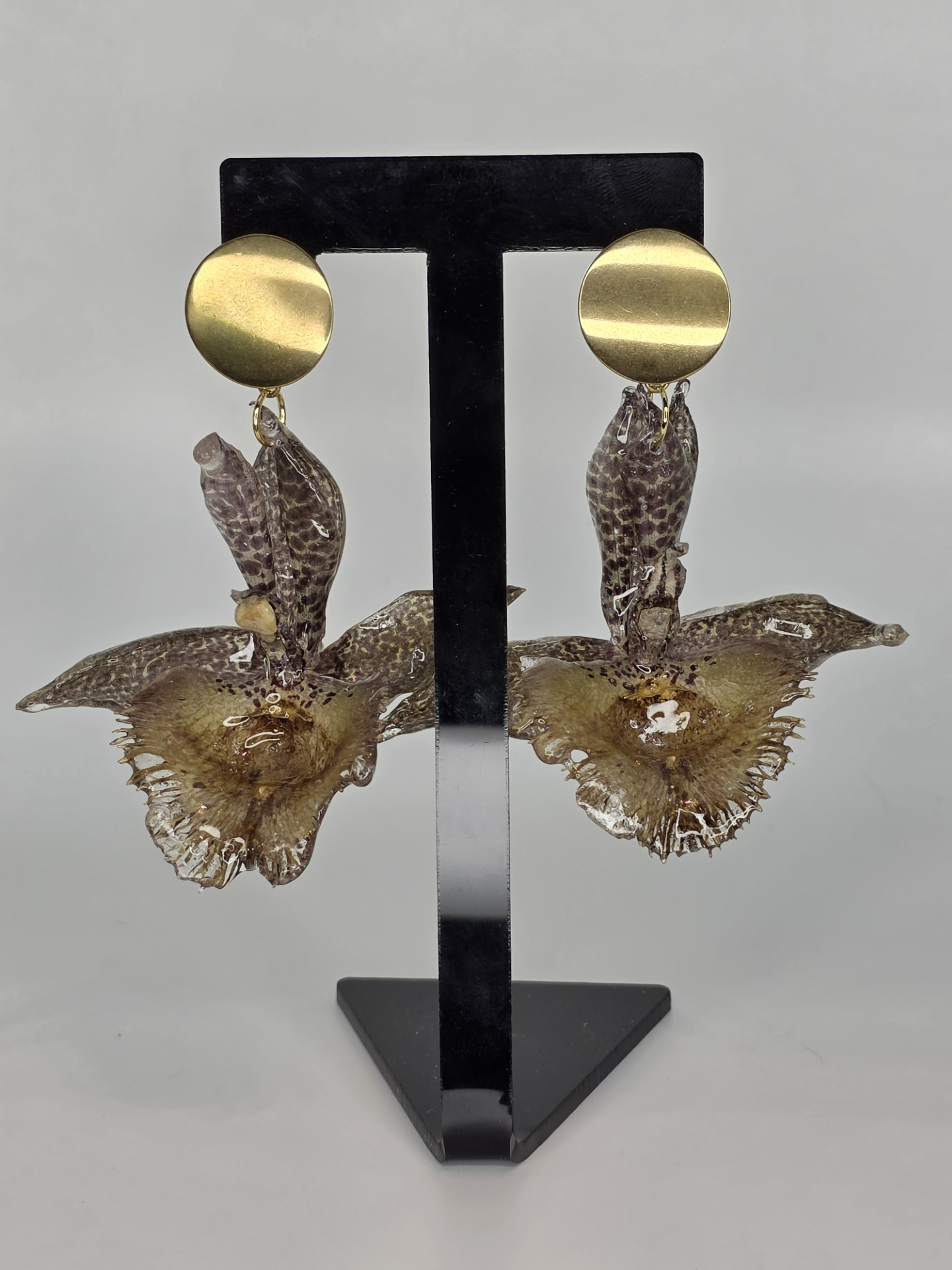 Expectacular Edición Especial