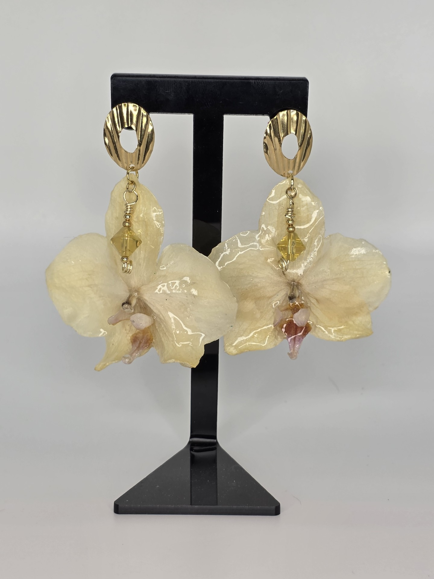 Phalaenopsis Amarilla Piedras Electroplay