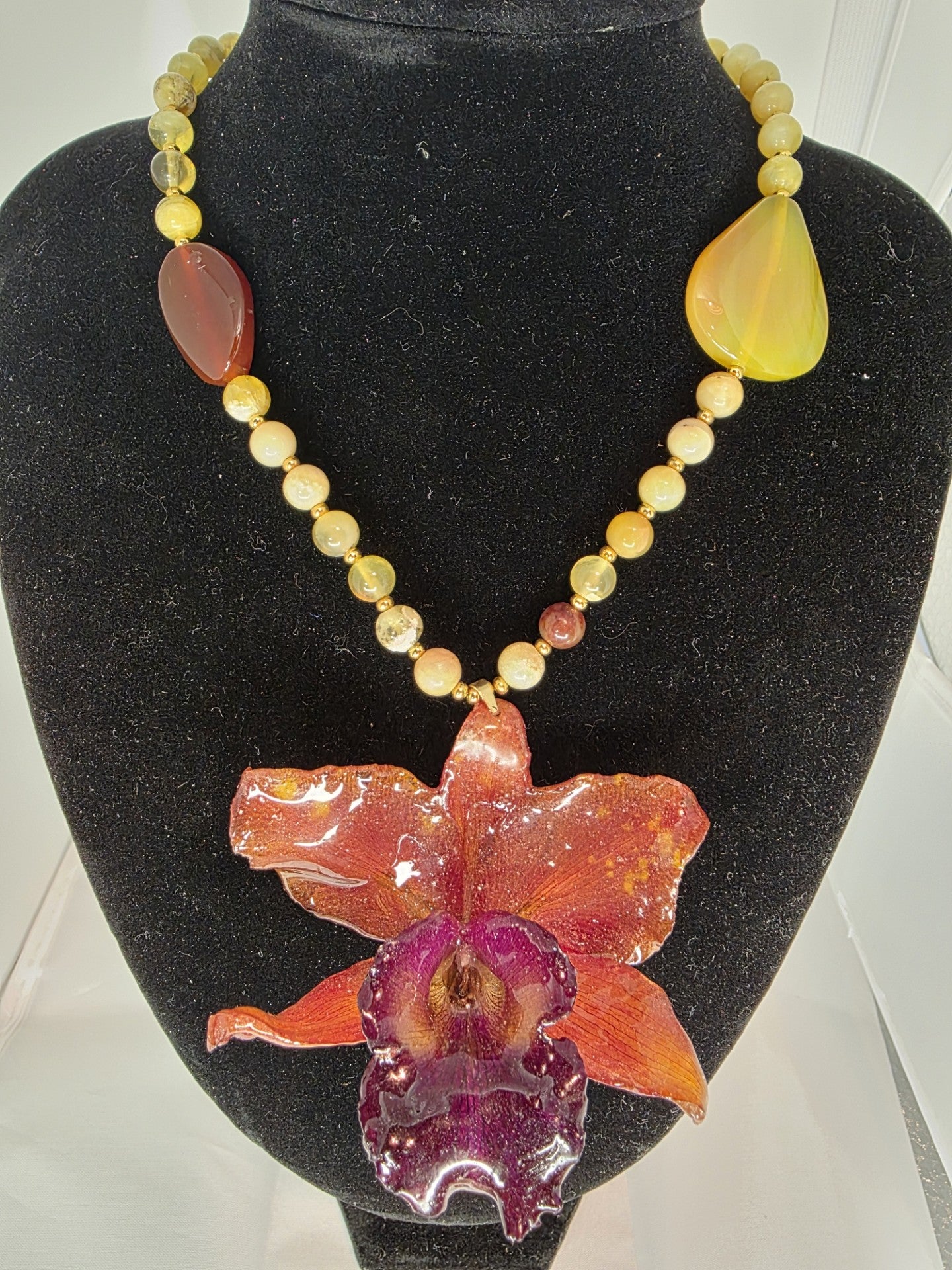 Expectacular Cattleya Large Motada en Jade