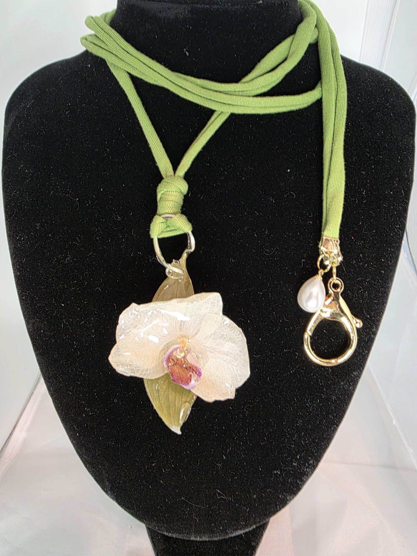 Phalaenopsis Blanca sobre Hoja con Collar Spadex Verde