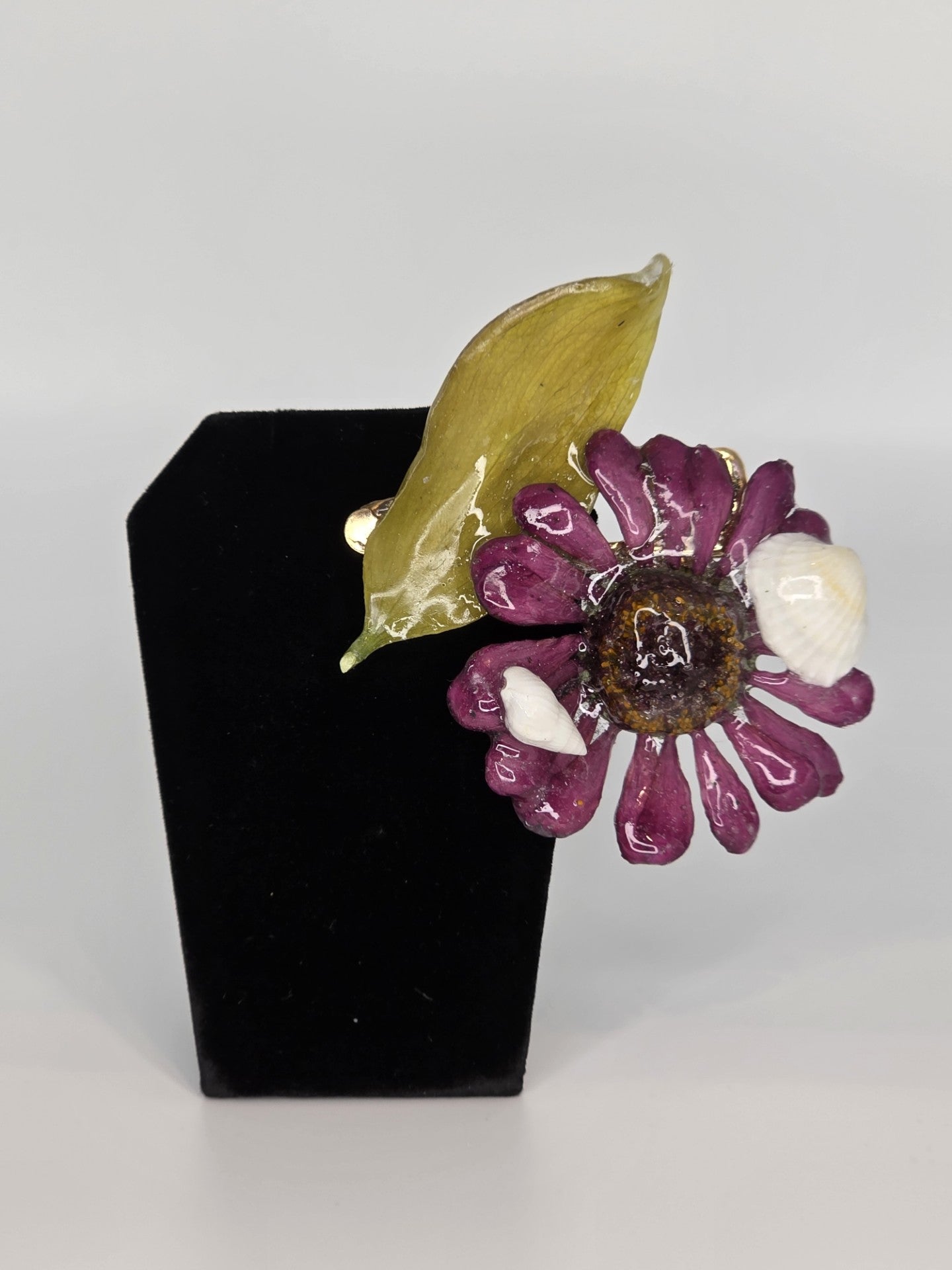 Zinnia y en su Explendor