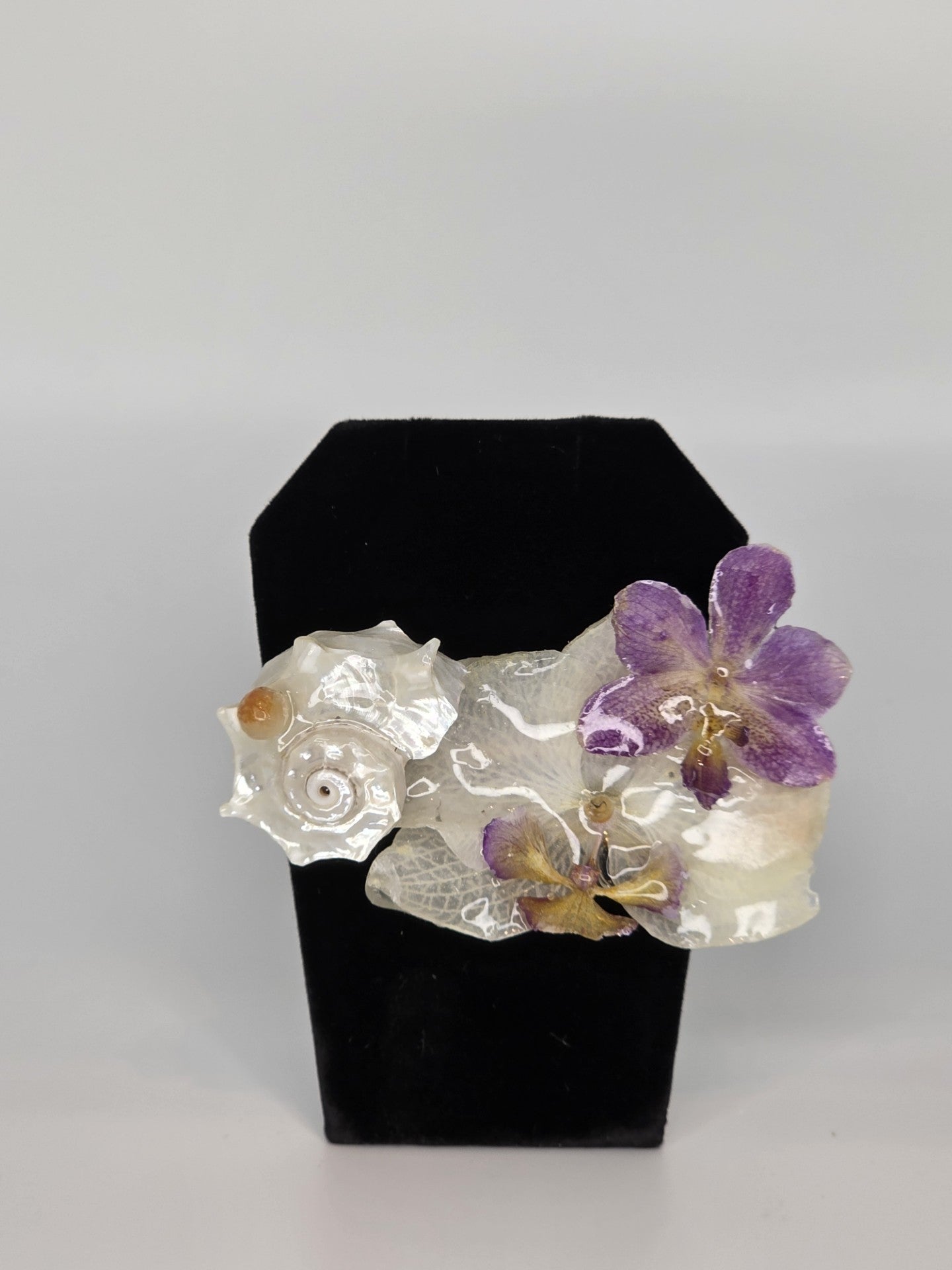 El Trío Phalaenopsis