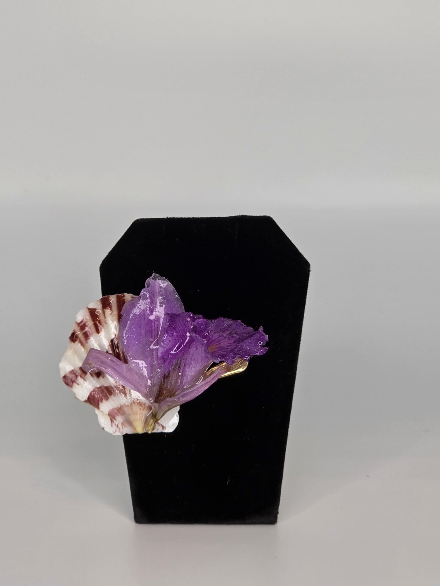 Caracol y Orquidea Violeta