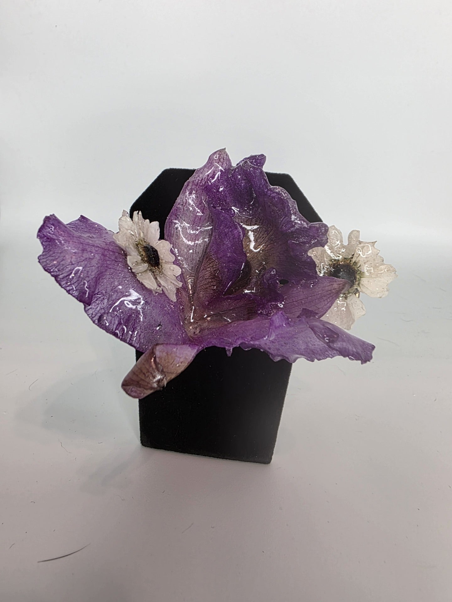 Cattleya y Margaritas