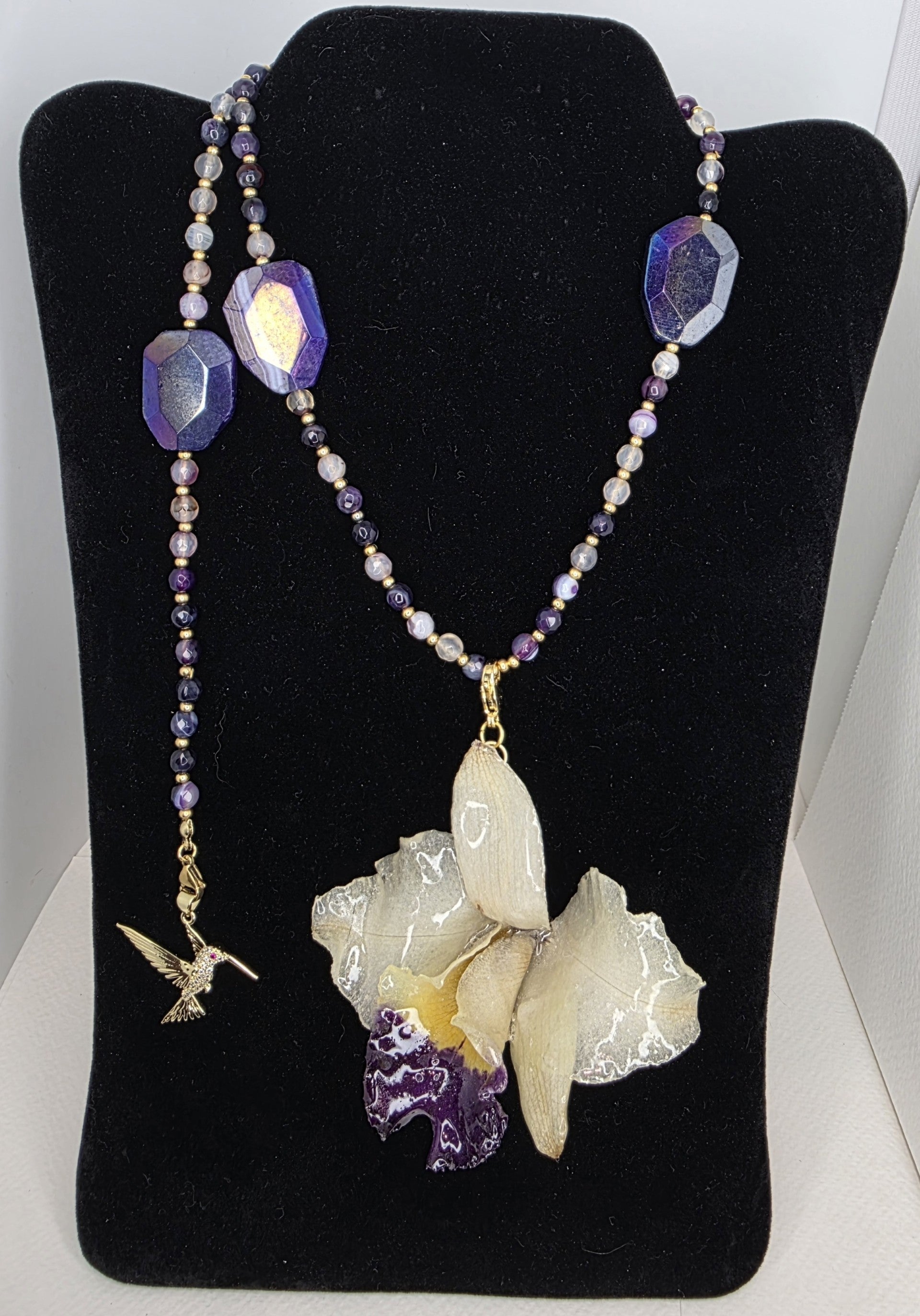 Cattleya Espectacular