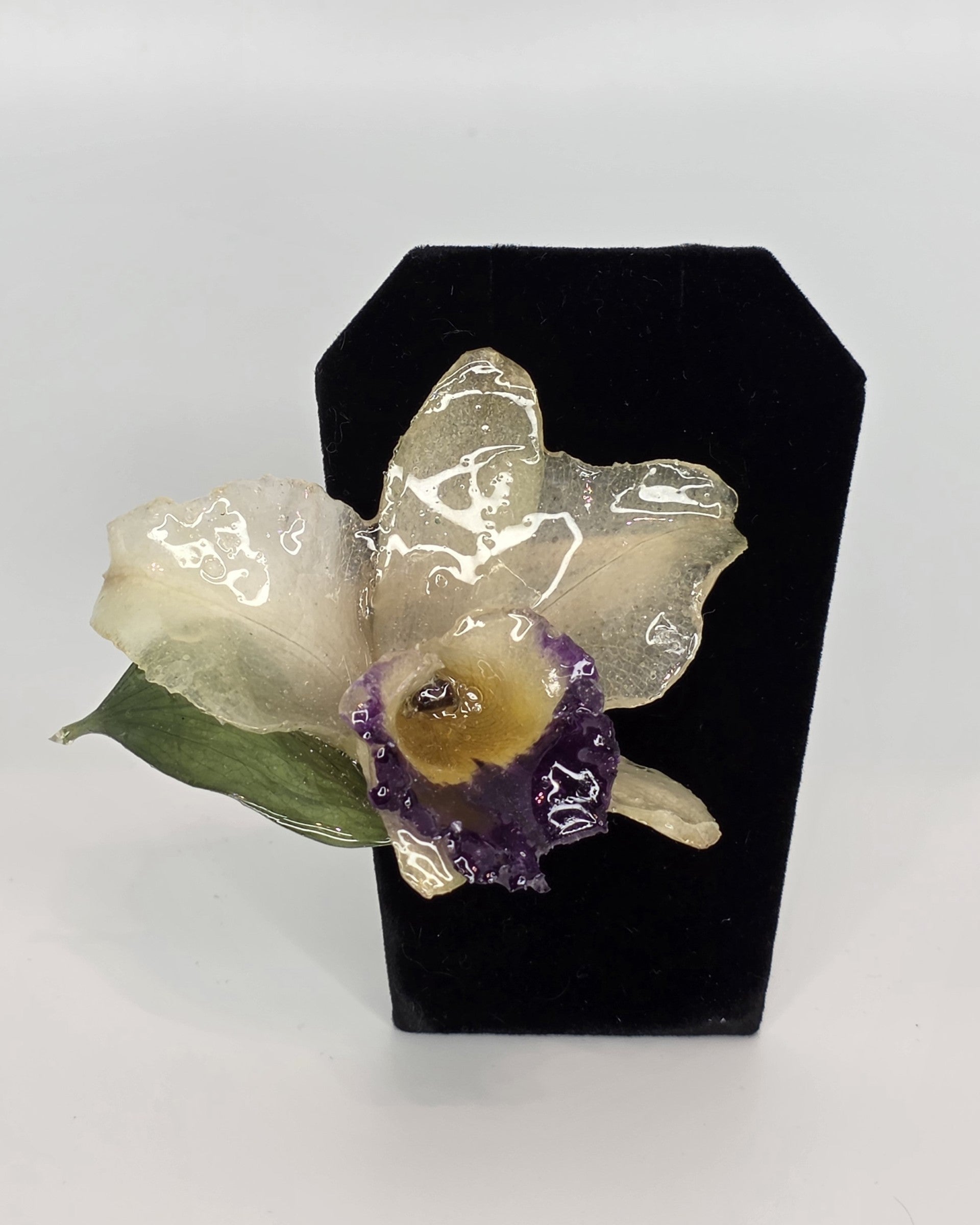 Cattleya para el Cabello